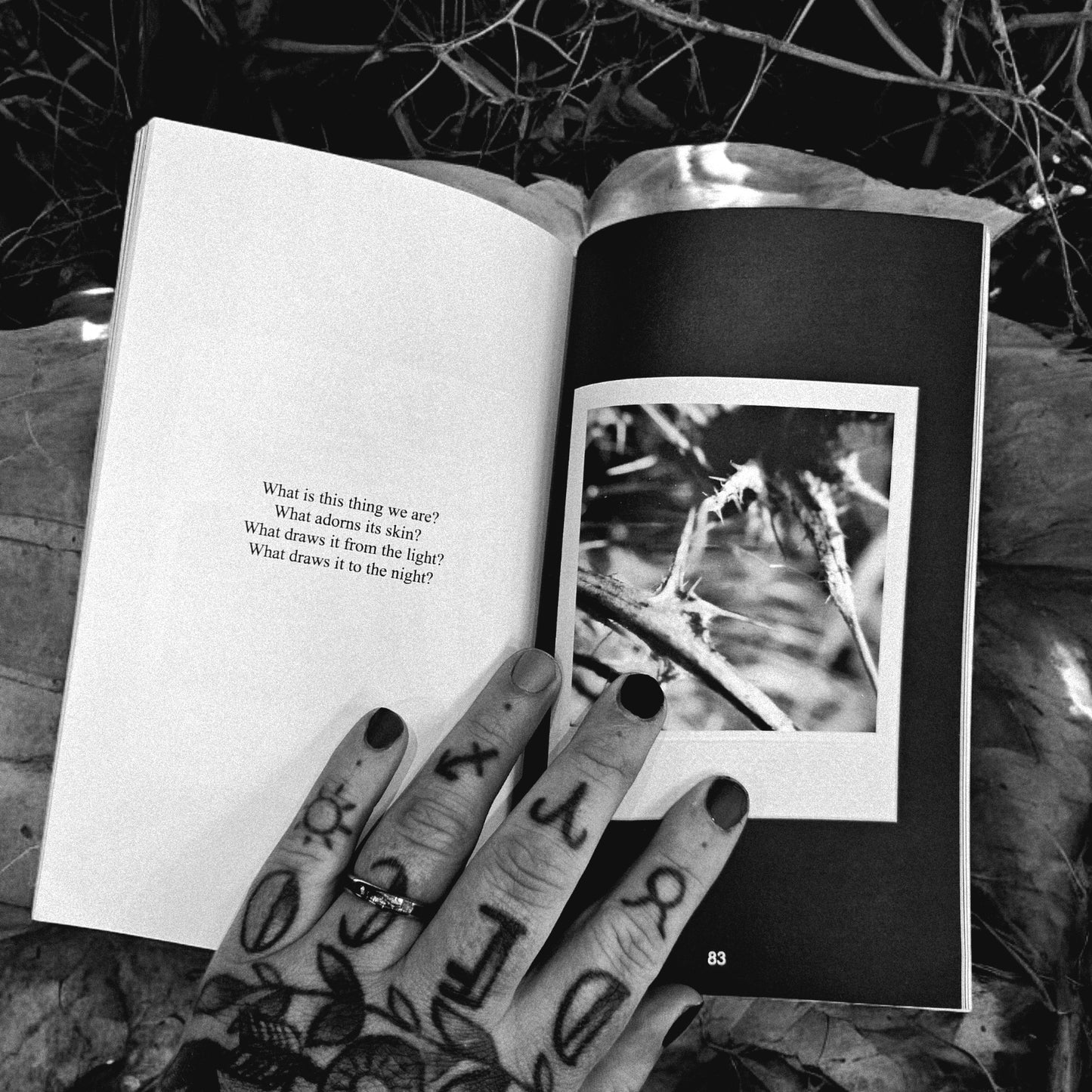 The Life And Death Of Love Book