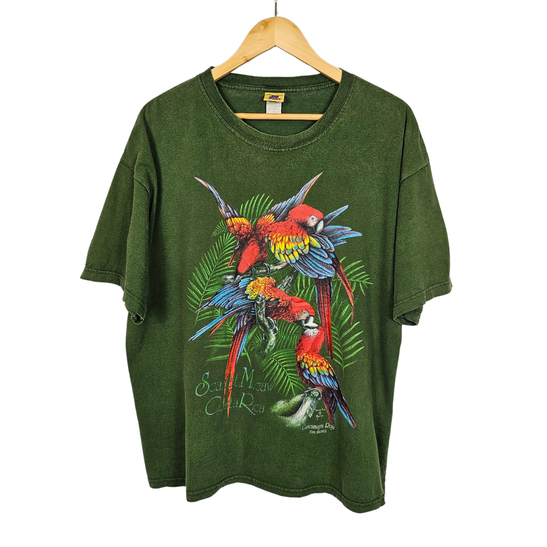 Toucan Tico Parrot Print T-Shirt - XL