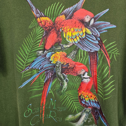 Toucan Tico Parrot Print T-Shirt - XL